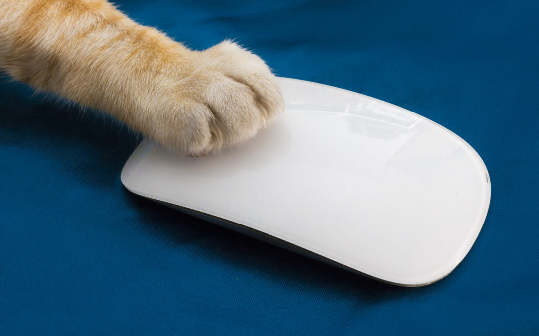 Mouseless : laissez votre souris s’évader